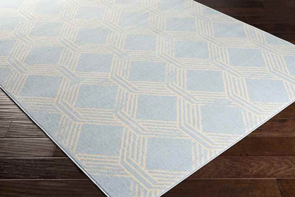 Leegkerk Modern Ice Blue Area Rug