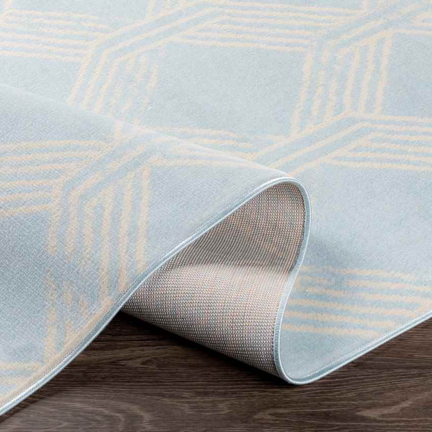 Leegkerk Modern Ice Blue Area Rug