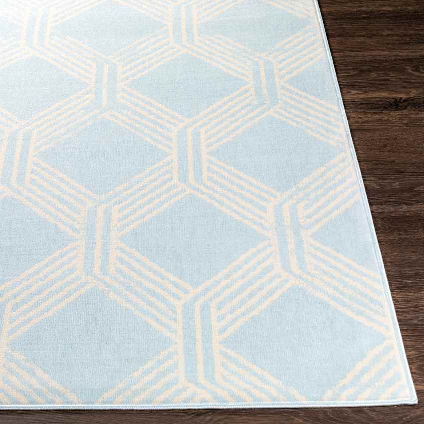 Leegkerk Modern Ice Blue Area Rug