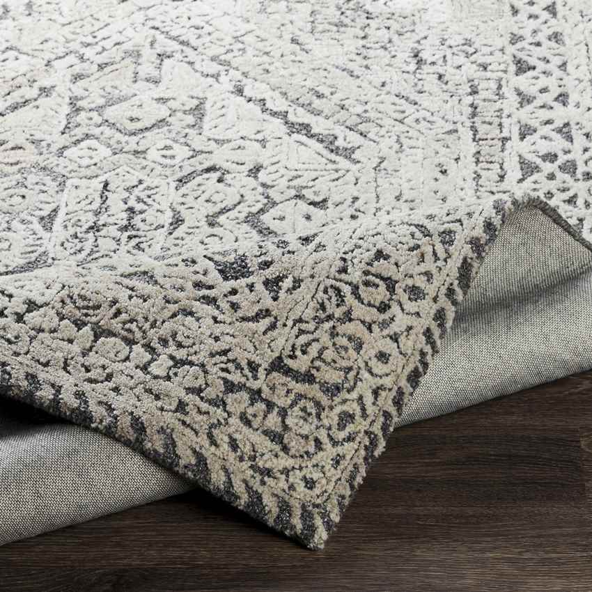 Lutjegast Traditional Beige Area Rug