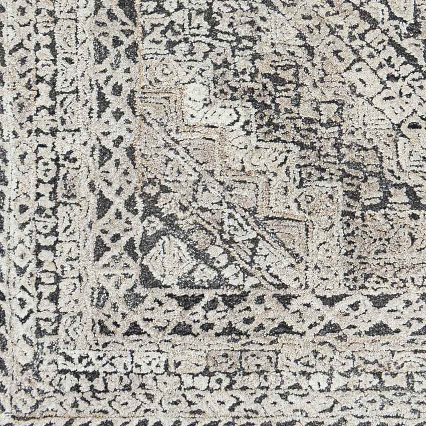 Lutjegast Traditional Beige Area Rug