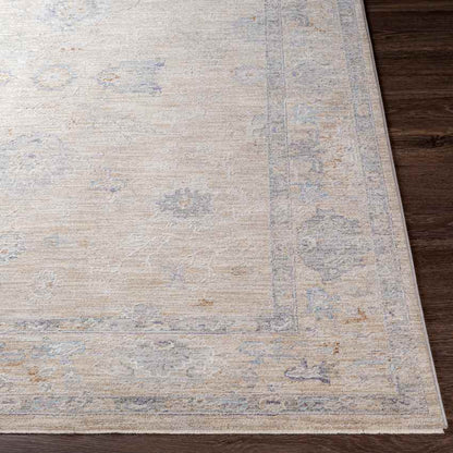 Meerwijck Modern Grey Area Rug