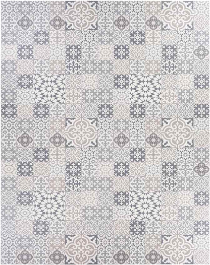 Nansum Traditional Medium Gray Area Rug