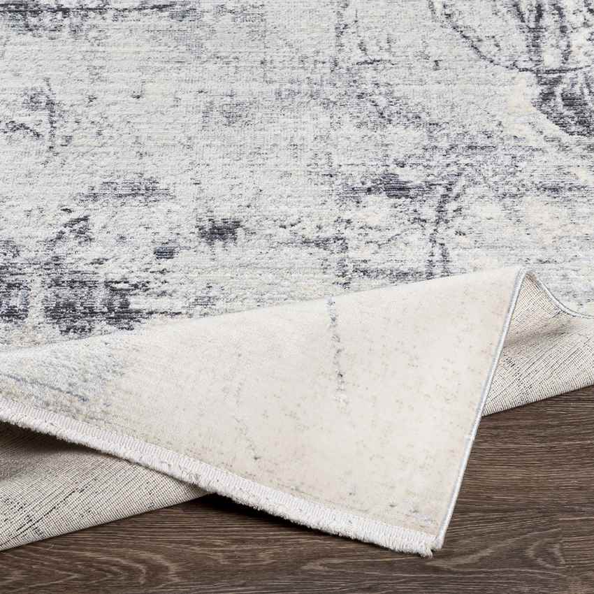 Rijsdam Modern Medium Gray Area Rug