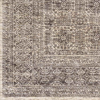 Woltersum Traditional Brown Area Rug