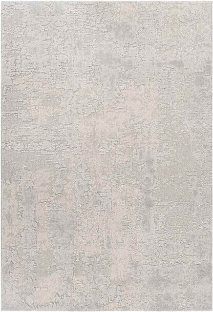 Zuurdijk Modern Grey Area Rug