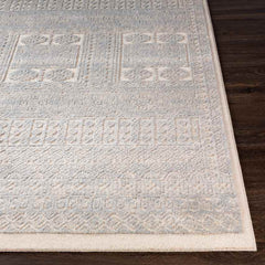 Acquoy Traditional Teal Area Rug