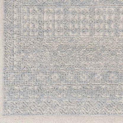Acquoy Traditional Teal Area Rug