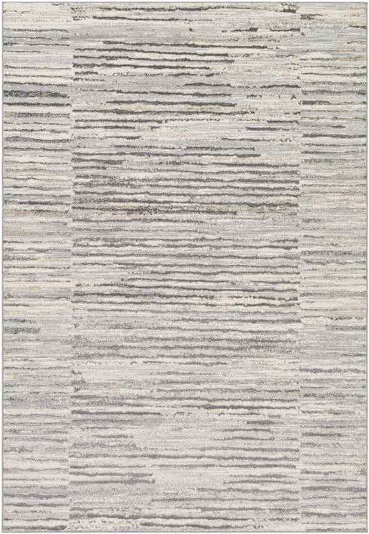 Asch Modern Grey Area Rug