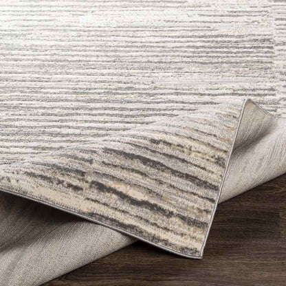 Asch Modern Grey Area Rug