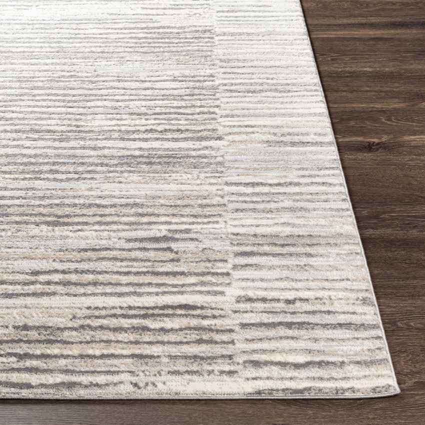 Asch Modern Grey Area Rug