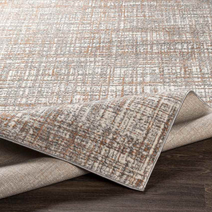 Avest Modern Grey Area Rug