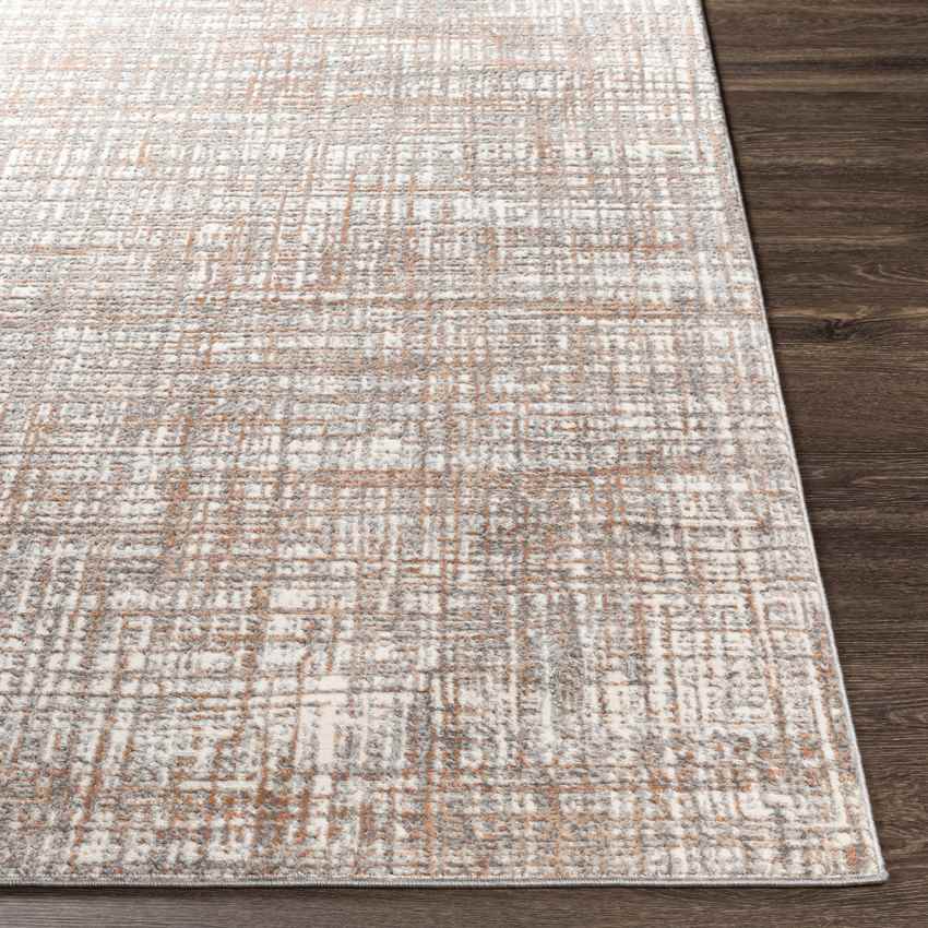 Avest Modern Grey Area Rug