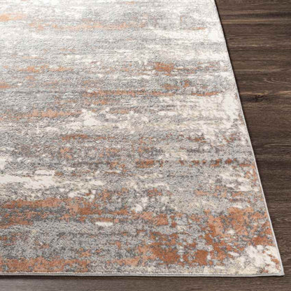 Baak Modern Grey Area Rug