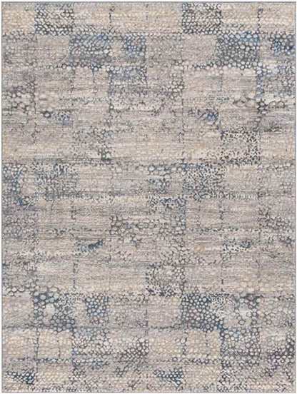 Aperloo Modern Medium Gray Area Rug