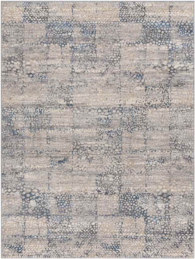 Aperloo Modern Medium Gray Area Rug