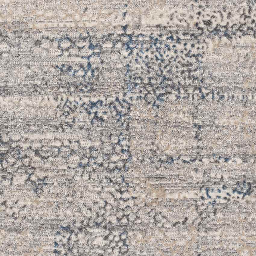 Aperloo Modern Medium Gray Area Rug