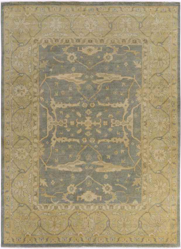 Ouwendorp Traditional Tan Area Rug