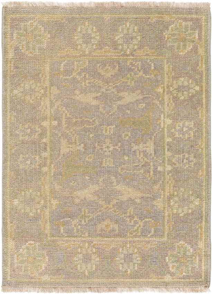 Ouwendorp Traditional Light Gray Area Rug