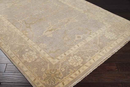 Ouwendorp Traditional Light Gray Area Rug