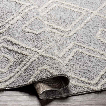 Rosedale Bohemian/Global Light Gray Area Rug