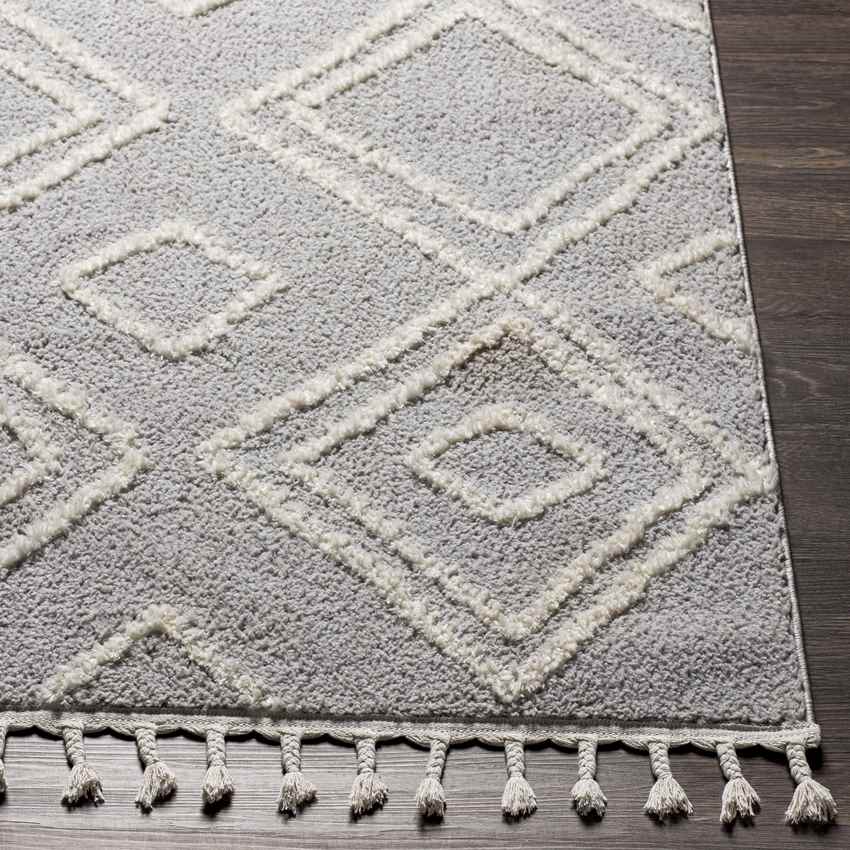 Rosedale Bohemian/Global Light Gray Area Rug