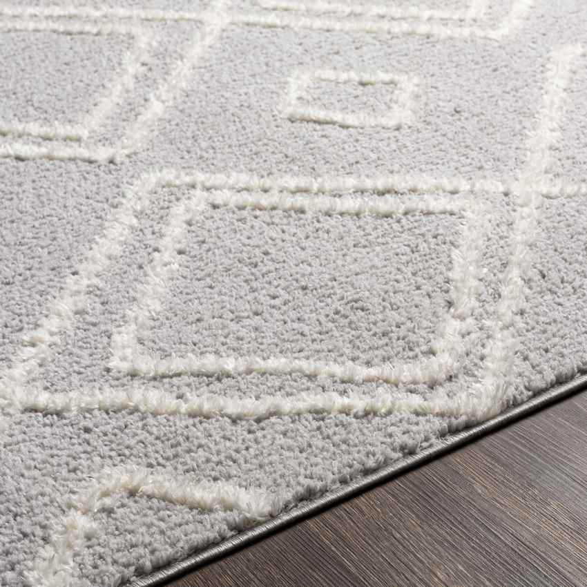 Rosedale Bohemian/Global Light Gray Area Rug