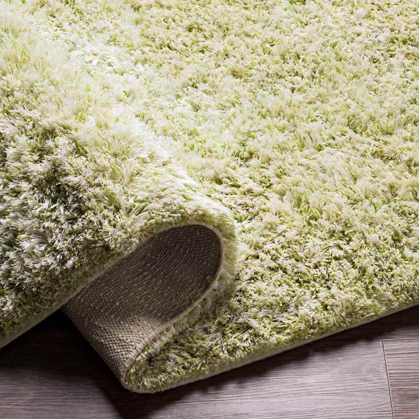 Mithat Modern Grass Green Area Rug