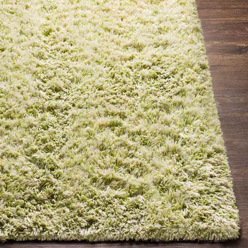 Mithat Modern Grass Green Area Rug
