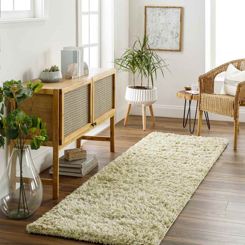Mithat Modern Grass Green Area Rug