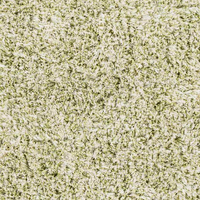 Mithat Modern Grass Green Area Rug