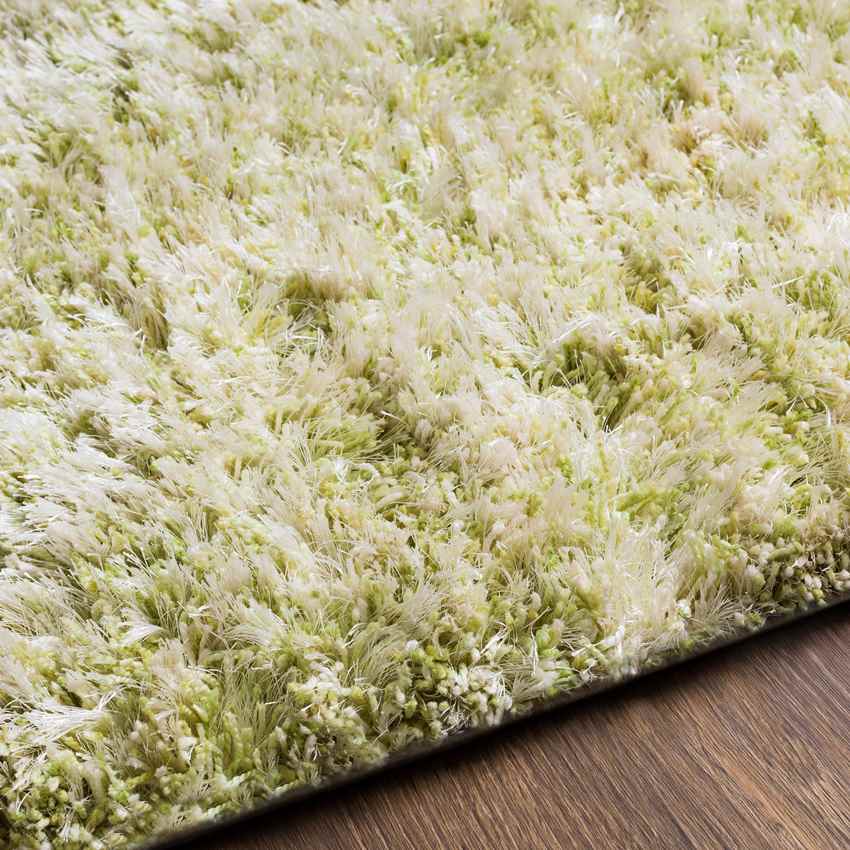 Mithat Modern Grass Green Area Rug