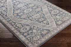 Danny Traditional Taupe Area Rug