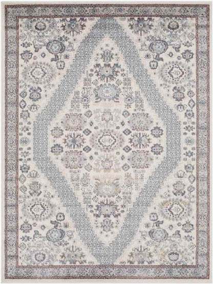 Danny Traditional Light Gray Area Rug