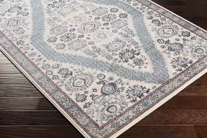 Danny Traditional Light Gray Area Rug