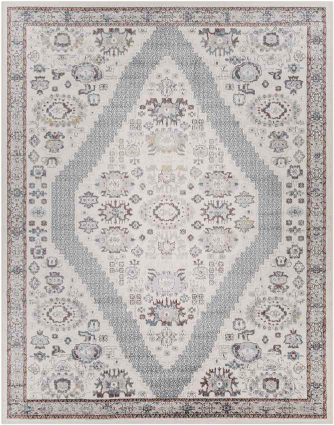 Danny Traditional Light Gray Area Rug