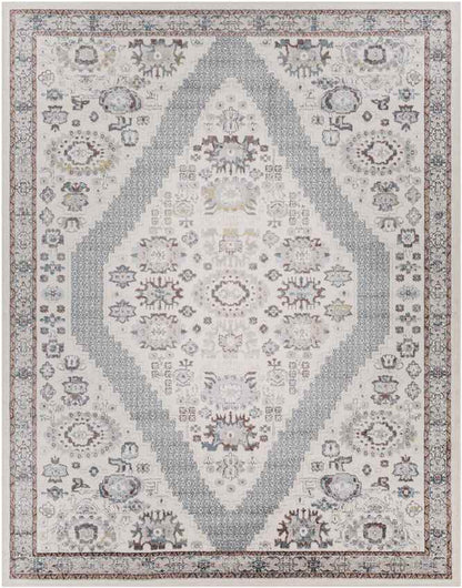 Danny Traditional Light Gray Area Rug