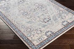 Danny Traditional Gray Area Rug