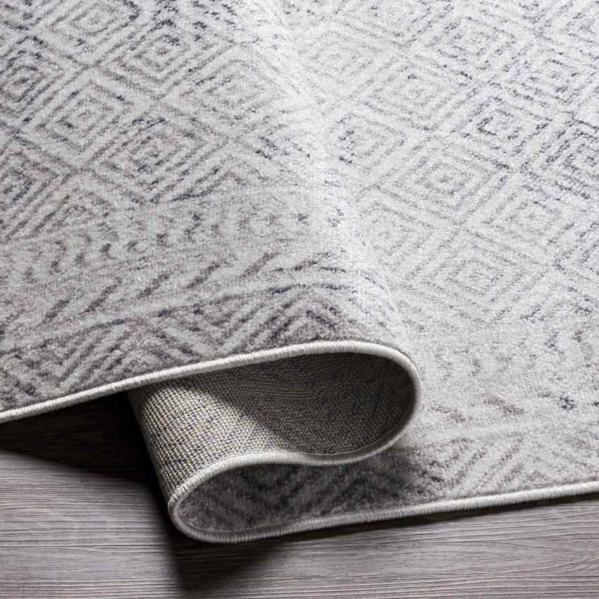 North Barrington Traditional Light Gray Area Rug