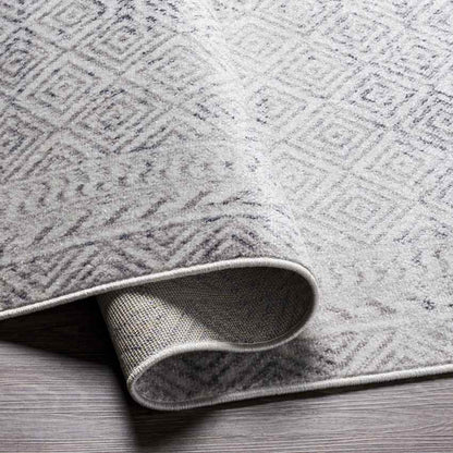 North Barrington Traditional Light Gray Area Rug