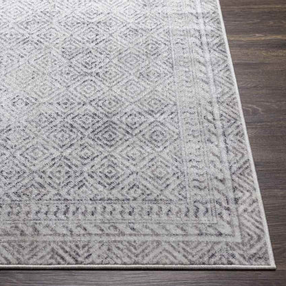 North Barrington Traditional Light Gray Area Rug