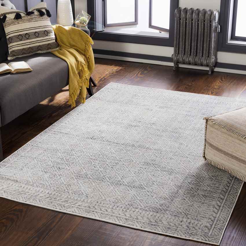 North Barrington Traditional Light Gray Area Rug