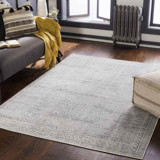 North Barrington Traditional Light Gray Area Rug