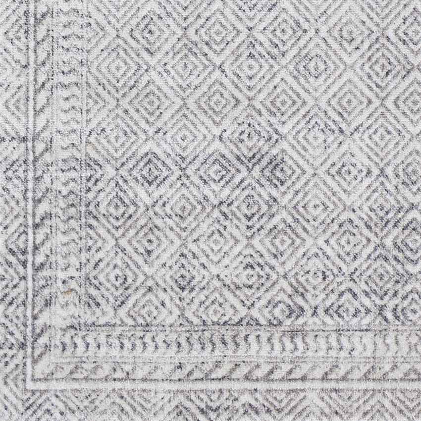North Barrington Traditional Light Gray Area Rug