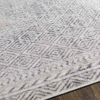 North Barrington Traditional Light Gray Area Rug
