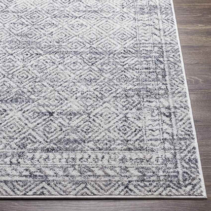 North Barrington Traditional Medium Gray Area Rug