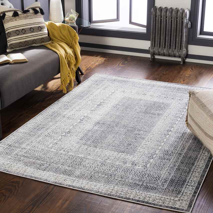 North Chicago Traditional Dark Gray Area Rug