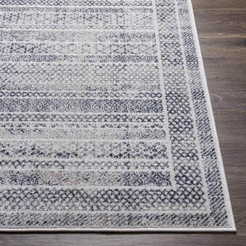 North Henderson Traditional Silver Gray Area Rug