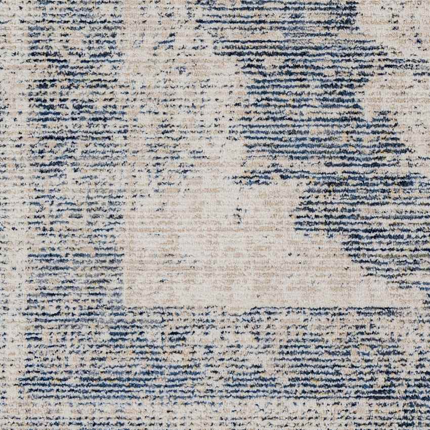 Jasonville Traditional Denim Area Rug