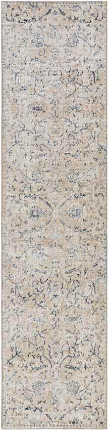 Montpelier Traditional Beige Area Rug